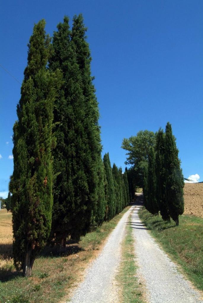 Villa Il Giardinello Montalcino Dış mekan fotoğraf
