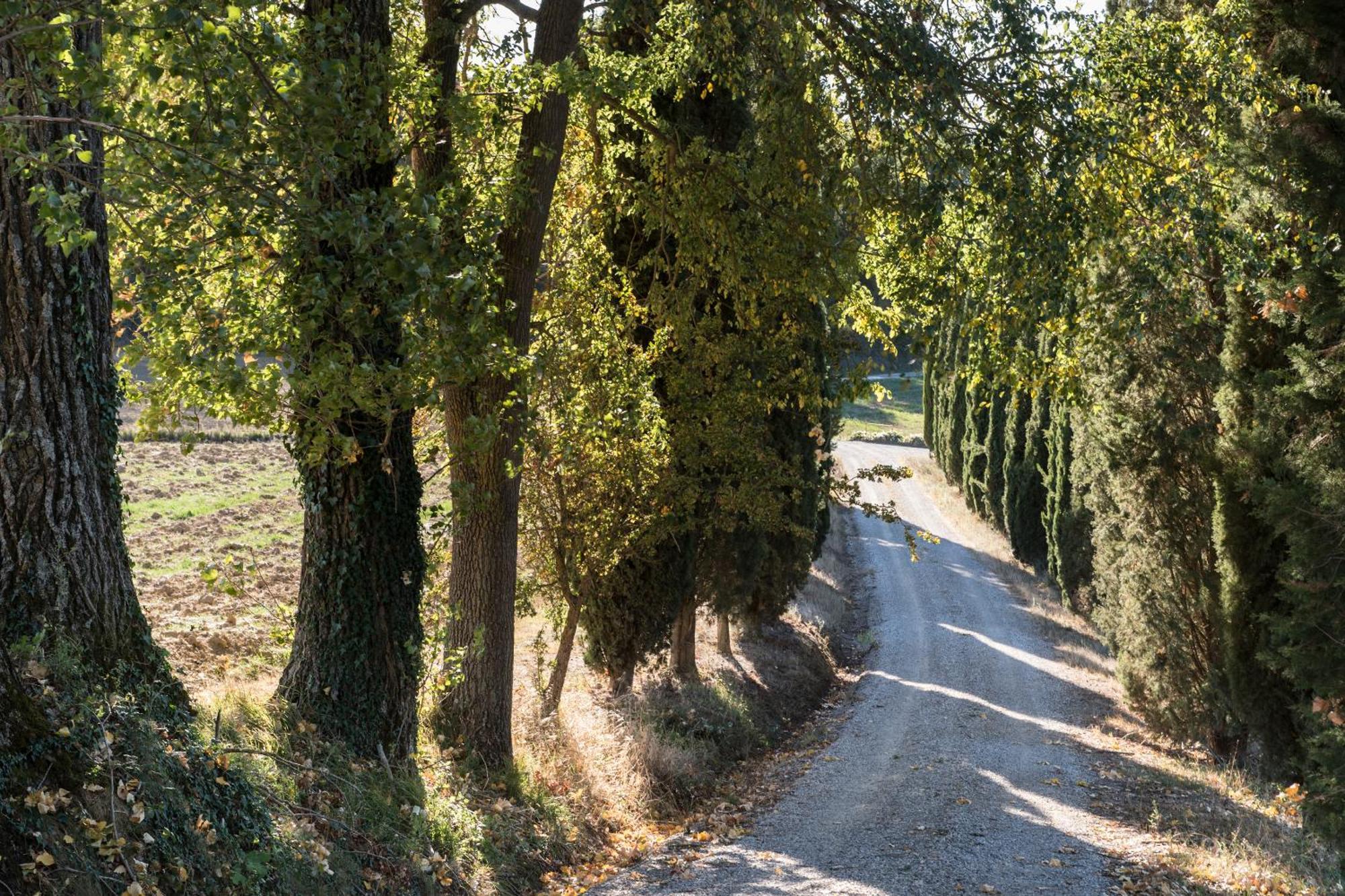 Villa Il Giardinello Montalcino Dış mekan fotoğraf